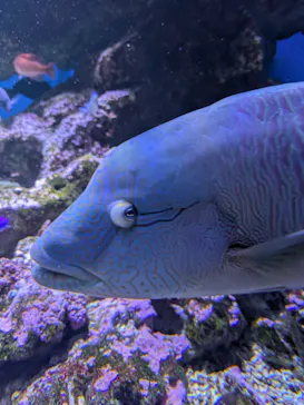 仙台うみの杜水族館に投稿された画像（2026/7/25）