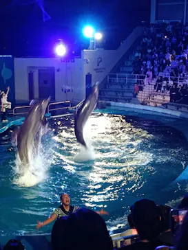 仙台うみの杜水族館に投稿された画像（2026/7/25）