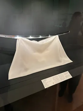 東京国立博物館に投稿された画像（2026/7/25）