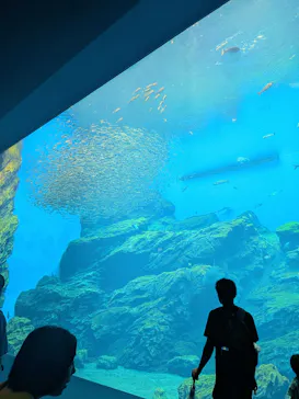 仙台うみの杜水族館に投稿された画像（2026/7/26）