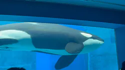 名古屋港水族館に投稿された画像（2026/7/26）