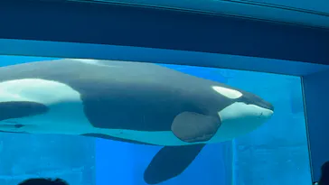 名古屋港水族館に投稿された画像（2026/7/26）