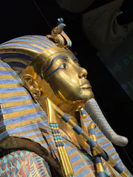 MYSTERY OF TUTANKHAMEN 体感型古代エジプト展に投稿された画像（2026/7/26）
