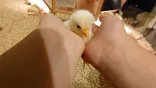 Moff animal cafe イオンモール幕張新都心店に投稿された画像（2026/7/26）