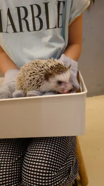 Moff animal cafe イオンモール幕張新都心店に投稿された画像（2026/7/26）