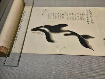 東京国立博物館に投稿された画像（2026/7/26）