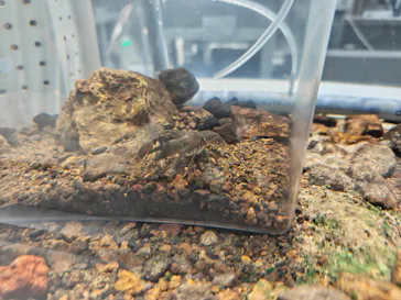 AOAO SAPPOROに投稿された画像（2026/7/26）