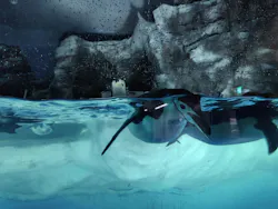 名古屋港水族館に投稿された画像（2026/7/26）