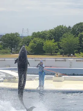京都水族館に投稿された画像（2026/7/26）
