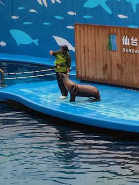 仙台うみの杜水族館に投稿された画像（2026/7/26）