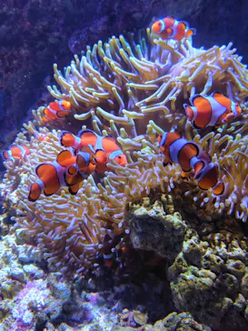 仙台うみの杜水族館に投稿された画像（2026/7/26）