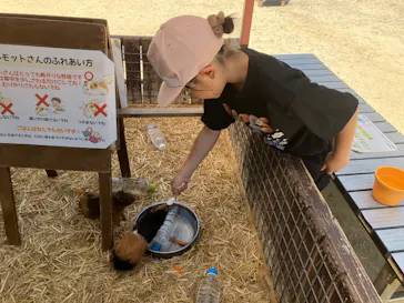 しろとり動物園に投稿された画像（2026/7/26）