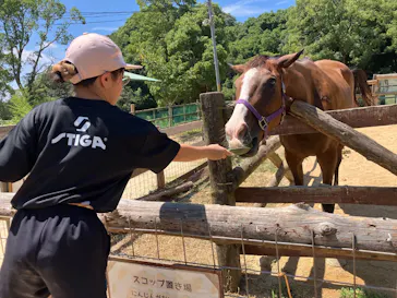 しろとり動物園に投稿された画像（2026/7/26）