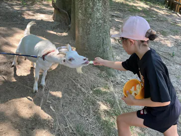 しろとり動物園に投稿された画像（2026/7/26）