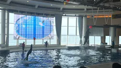 アクアワールド茨城県大洗水族館に投稿された画像（2026/7/26）