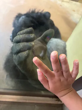 名古屋市東山動植物園に投稿された画像（2026/7/26）