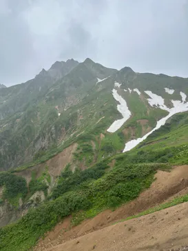 白馬五竜高山植物園に投稿された画像（2026/7/26）