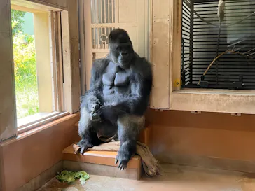 名古屋市東山動植物園に投稿された画像（2026/7/26）