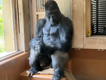 名古屋市東山動植物園に投稿された画像（2026/7/26）