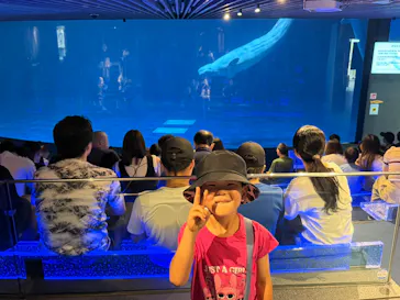 島根県立 しまね海洋館に投稿された画像（2026/7/26）