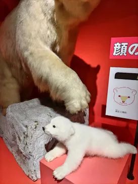特別展「いきもの超ワールド展　国立科学博物館×ダーウィンが来た！」（国立科学博物館）に投稿された画像（2026/7/26）