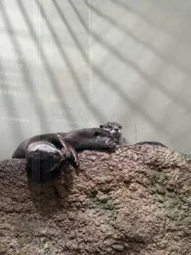 仙台うみの杜水族館に投稿された画像（2026/7/26）