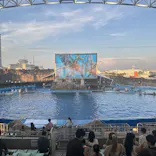 名古屋港水族館に投稿された画像（2026/7/26）