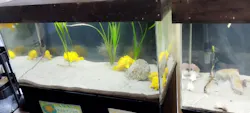 浜名湖体験学習施設ウォットに投稿された画像（2026/7/26）