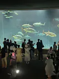 葛西臨海水族園に投稿された画像（2026/7/26）