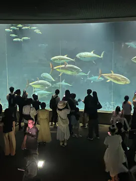 葛西臨海水族園に投稿された画像（2026/7/26）