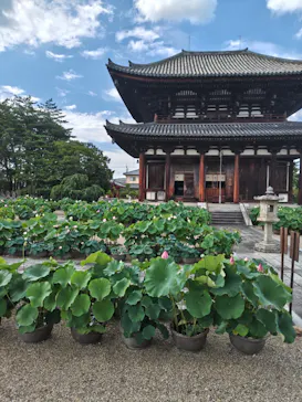 公益社団法人　奈良市観光協会に投稿された画像（2026/7/26）
