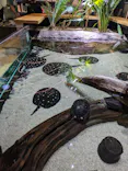 AQUARIUM × ART　atoaに投稿された画像（2026/7/26）