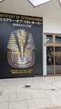 MYSTERY OF TUTANKHAMEN 体感型古代エジプト展に投稿された画像（2026/7/26）