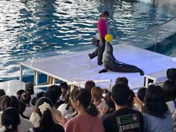 アクアワールド茨城県大洗水族館に投稿された画像（2026/7/26）