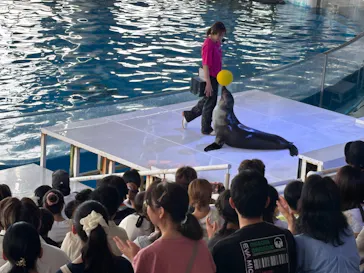 アクアワールド茨城県大洗水族館に投稿された画像（2026/7/26）