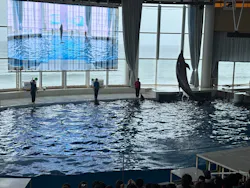 アクアワールド茨城県大洗水族館に投稿された画像（2026/7/26）
