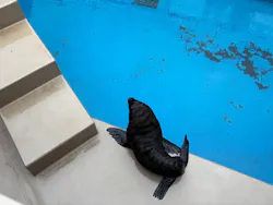 アクアワールド茨城県大洗水族館に投稿された画像（2026/7/26）