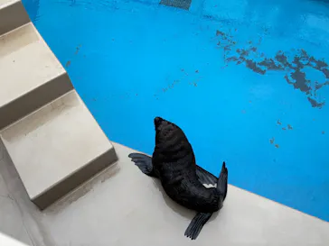 アクアワールド茨城県大洗水族館に投稿された画像（2026/7/26）