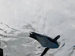 サンシャイン水族館に投稿された画像（2026/7/27）