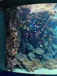 沖縄美ら海水族館に投稿された画像（2026/7/27）