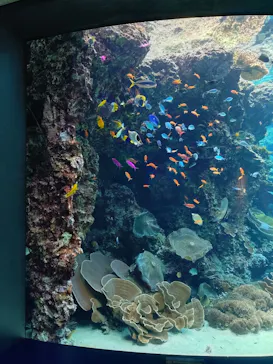 沖縄美ら海水族館に投稿された画像（2026/7/26）