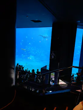 沖縄美ら海水族館に投稿された画像（2026/7/26）