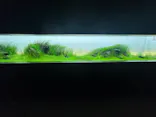 AOAO SAPPOROに投稿された画像（2026/7/27）