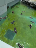 葛西臨海水族園に投稿された画像（2026/7/27）