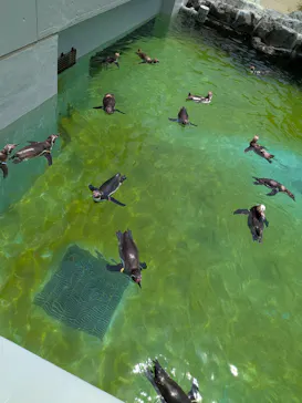 葛西臨海水族園に投稿された画像（2026/7/26）