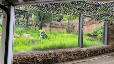 上野動物園 ハシビロカートに投稿された画像（2026/7/26）