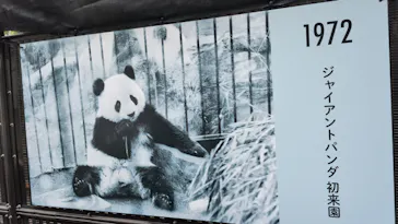 上野動物園 ハシビロカートに投稿された画像（2026/7/26）