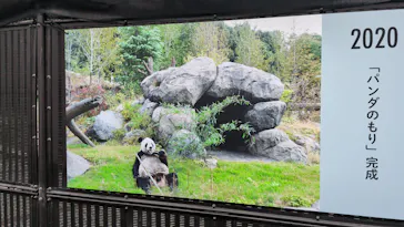 上野動物園 ハシビロカートに投稿された画像（2026/7/26）