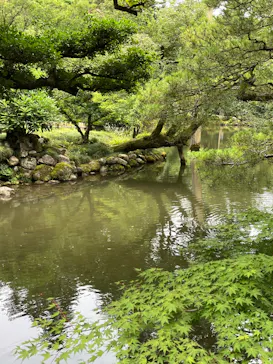 兼六園に投稿された画像（2026/7/26）