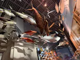 国立科学博物館に投稿された画像（2026/7/27）